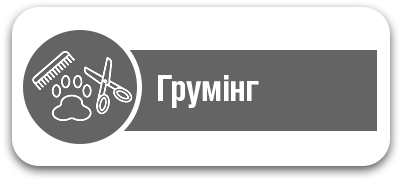 Грумінг