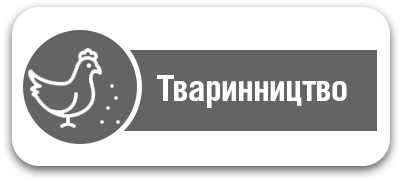 Тваринництво