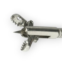 Дистальний кінець ендоскопічних біопсійних щипців типу Алігатор з відкритими зубчастими чашечками та гострим стрижнем (голкою) по центру