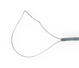 Металевий дріт, сформований у петлю-пастку форми напівмісяця, зєднаний з гнучким катетером. Інструмент призначений для електрохірургічної поліпектомії