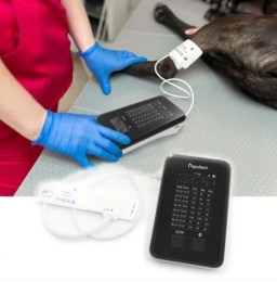 Ветеринарний лікар в рукавичках проводить замір артеріального тиску у собаки за допомогою тонометра ВМ35, що відображає історію вимірювань у форматі таблиці